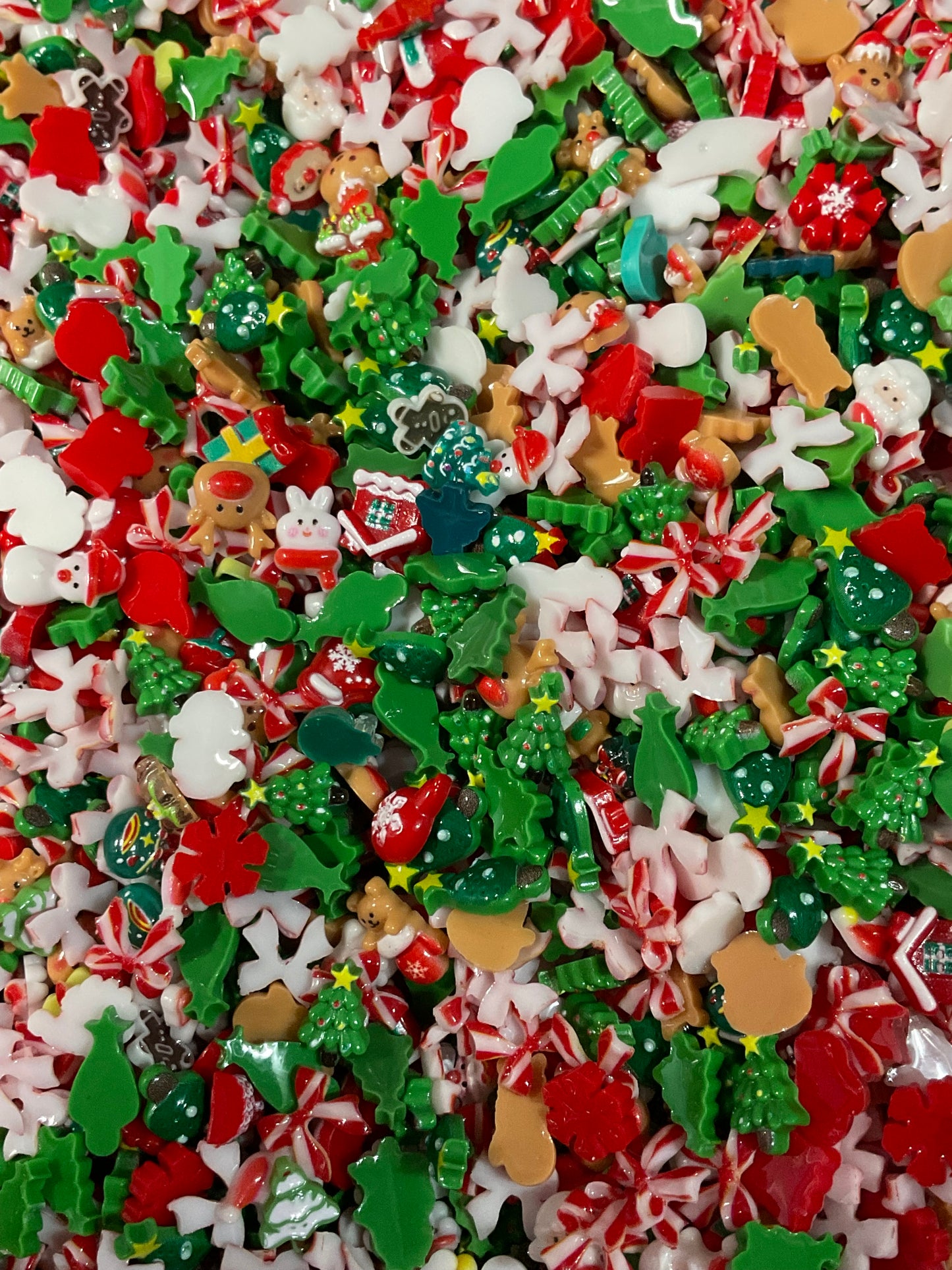 North Pole Party Scoop