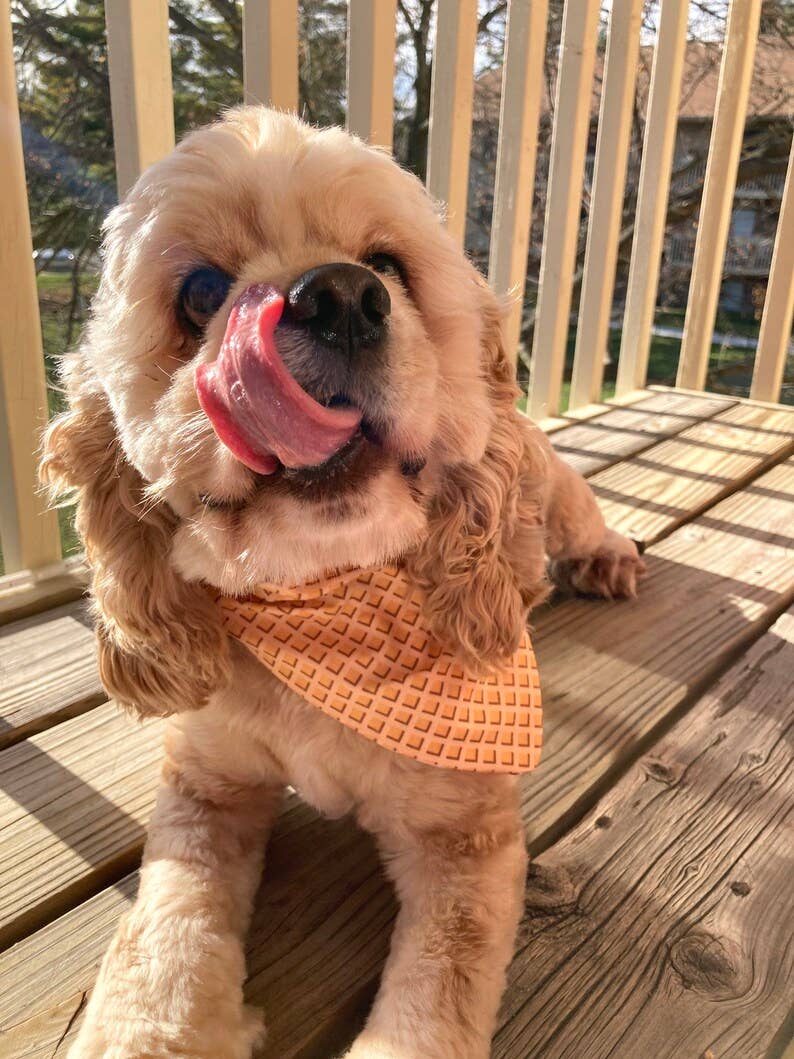 Chicken and Waffles - Pet Bandana | Over the Collar