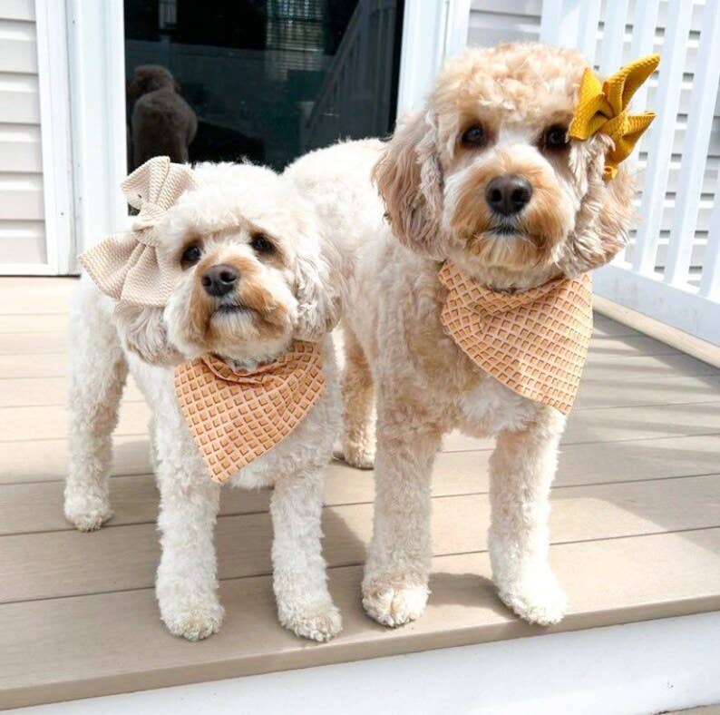 Chicken and Waffles - Pet Bandana | Over the Collar