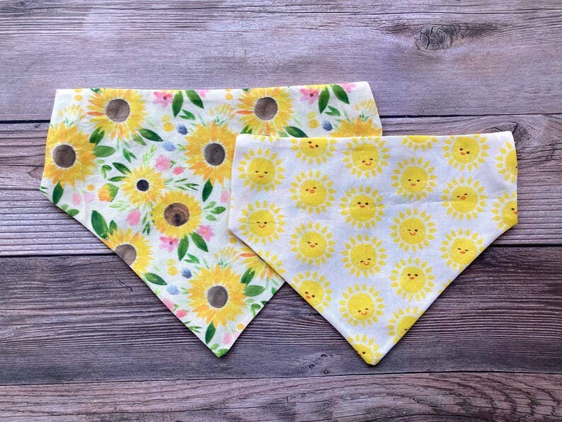 Sunflower Sunshine - Pet Bandana | Over the Collar