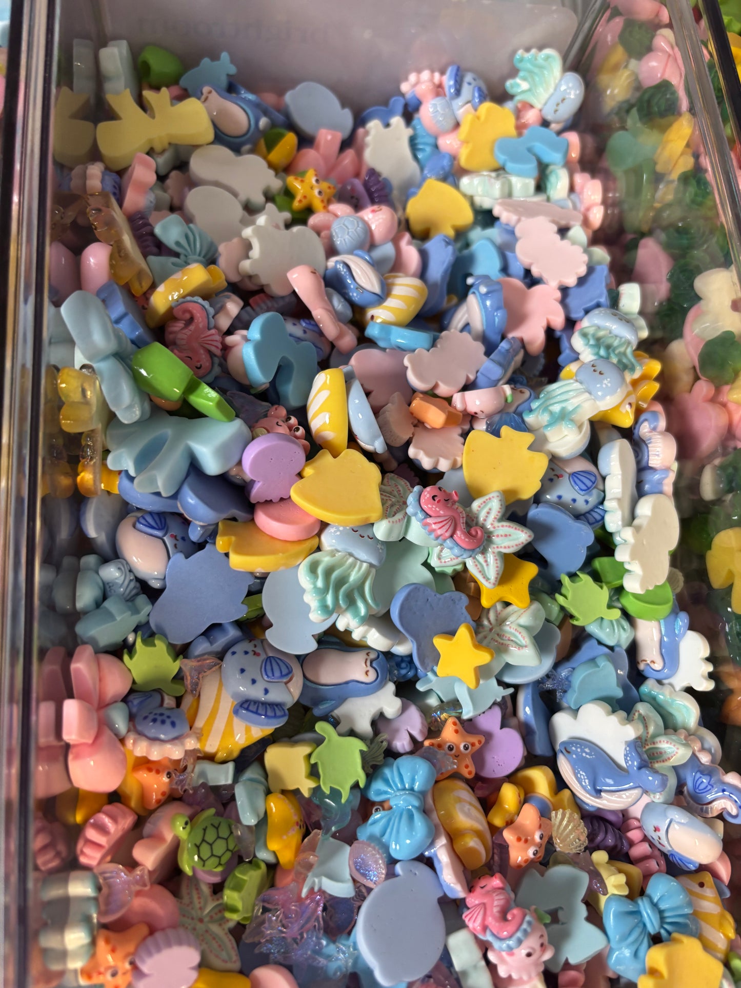 Arctic and Ocean scoop