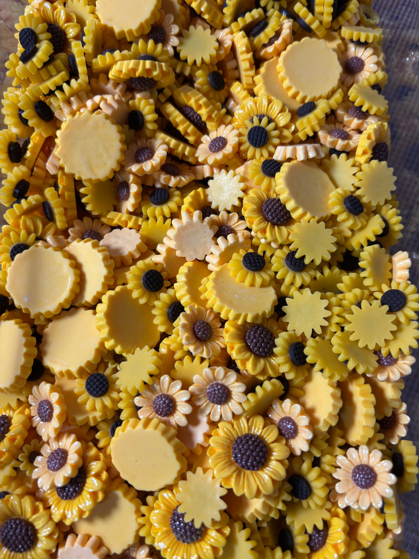 Sunflower Scoop