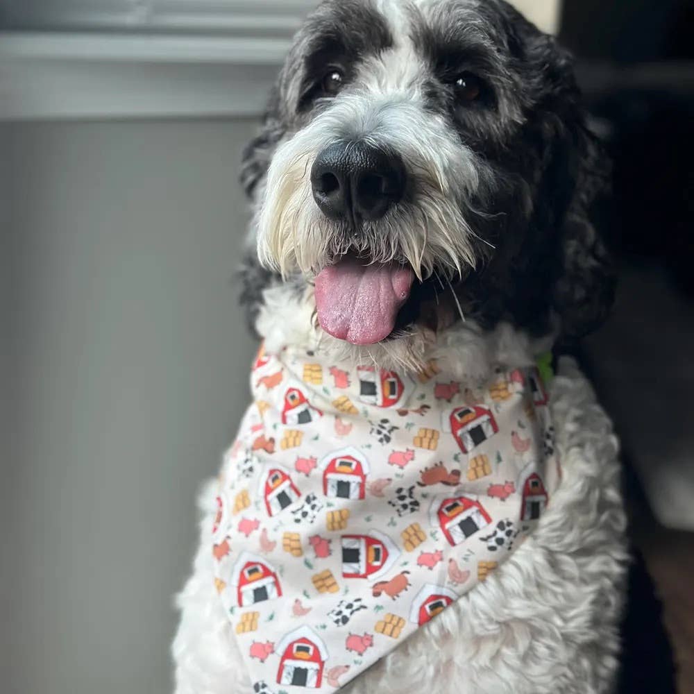 Down on the Farm - Pet Bandana | Over the Collar