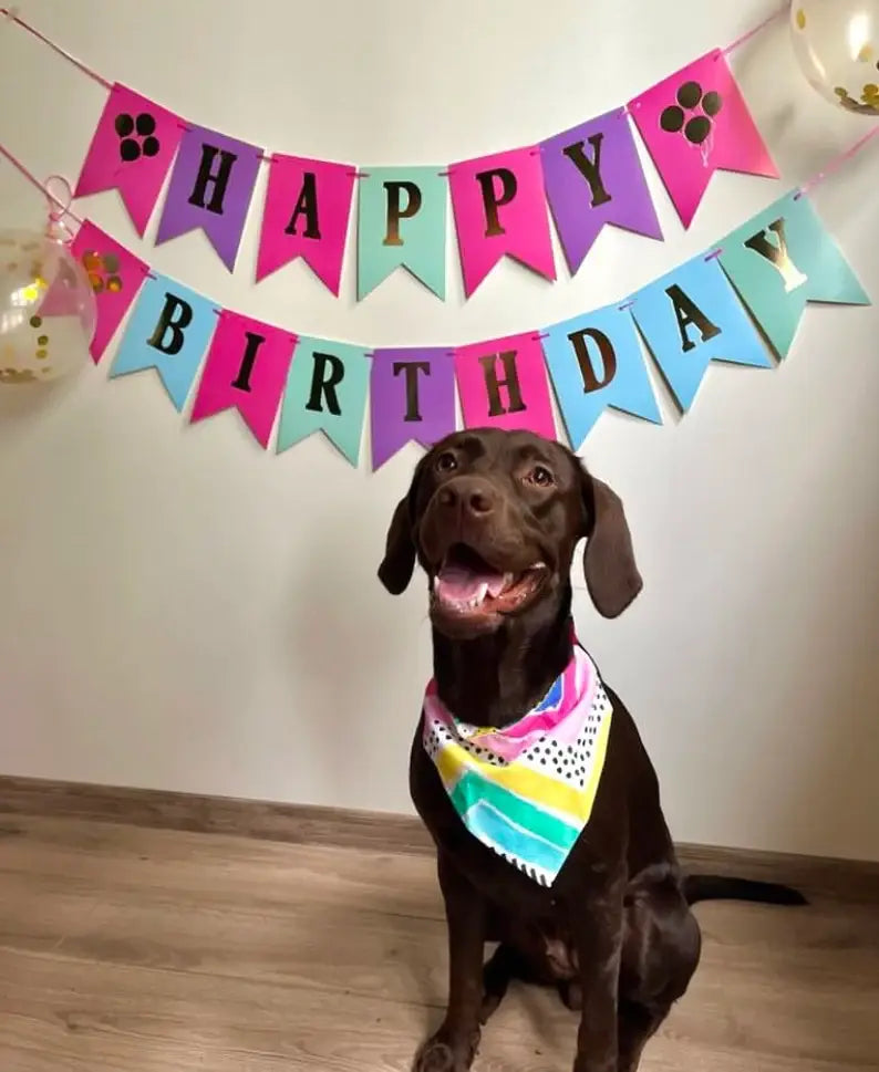 Spunky Pineapple - Pet Bandana Over the Collar