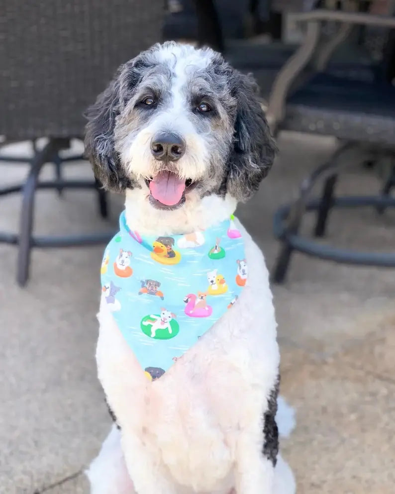 Pool Pawty - Pet Bandana | Reversible | Over the Collar