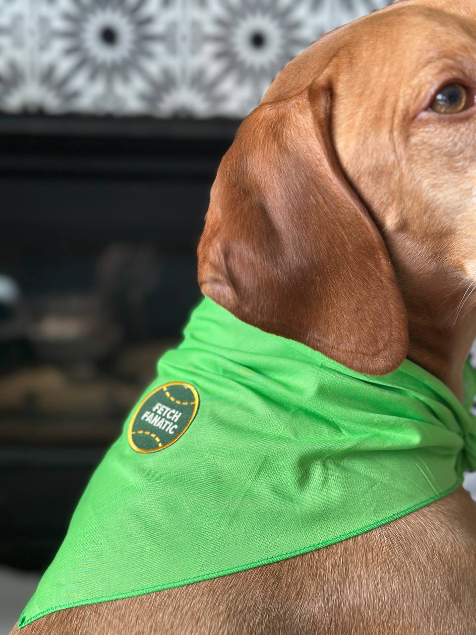 Patch Pet Bandana