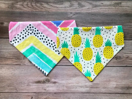 Spunky Pineapple - Pet Bandana Over the Collar