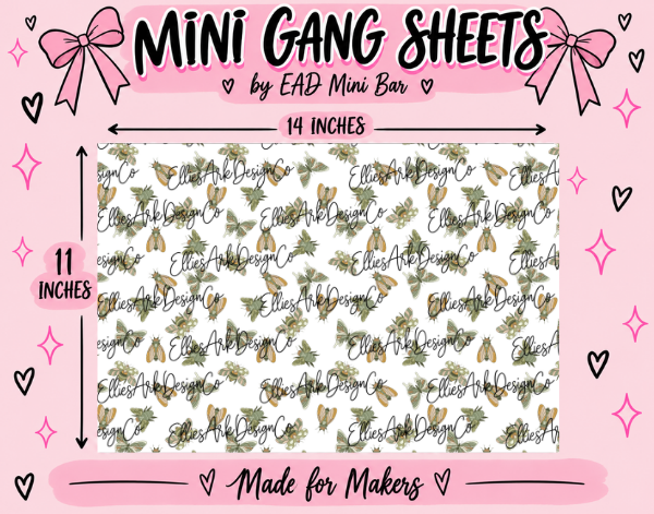 Moths