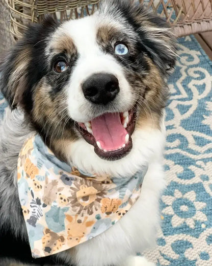 Safari - Pet Bandana | Reversible | Over the Collar