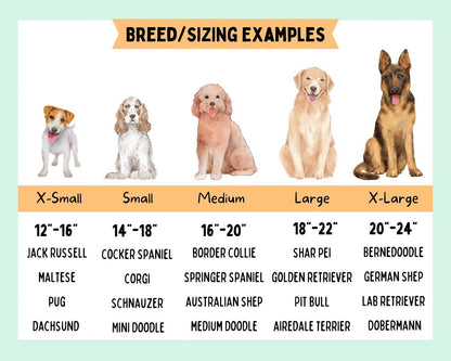 Strawberry Picnic - Pet Bandana | Over the Collar