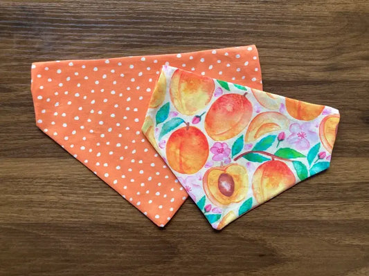 Just Peachy - Pet Bandana | Reversible | Over the Collar
