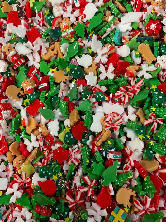 North Pole Party Scoop