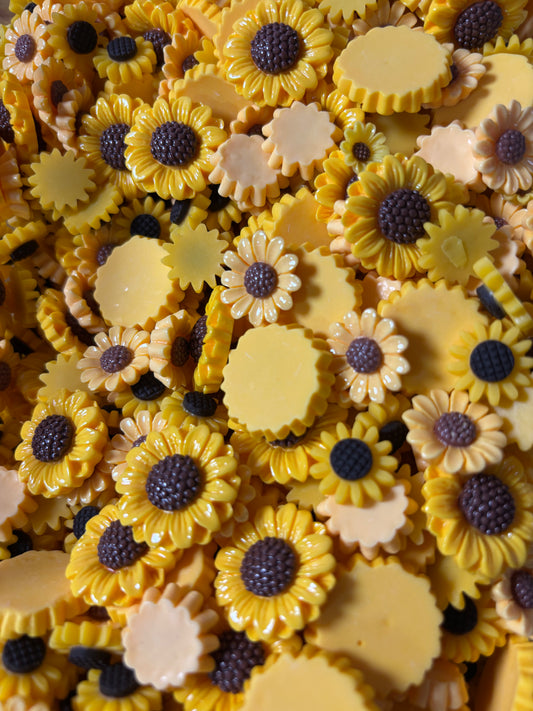 Sunflower Scoop