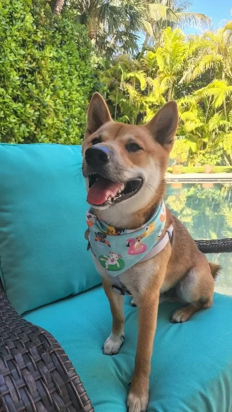Pool Pawty - Pet Bandana | Reversible | Over the Collar