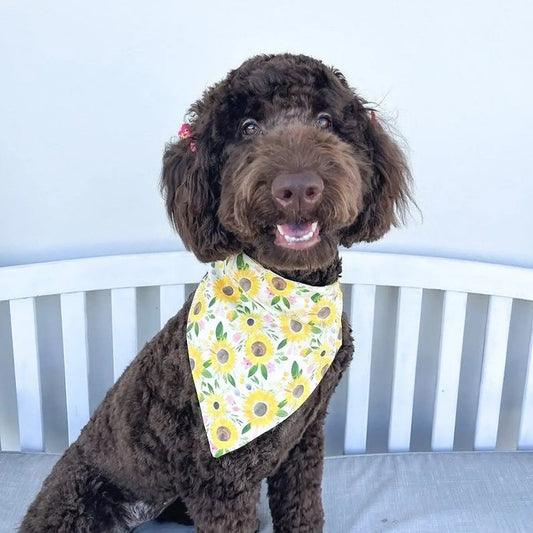 Sunflower Sunshine - Pet Bandana | Over the Collar