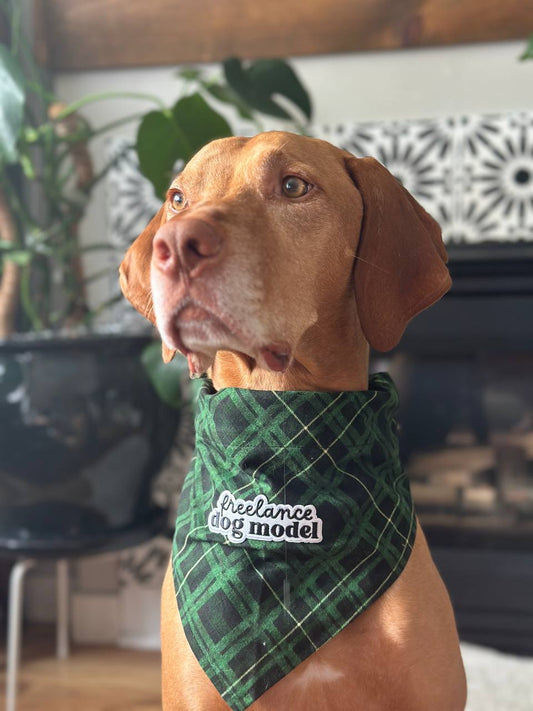 Patch Pet Bandana